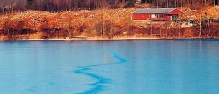 Första stockarna i Kisasjön i morgon