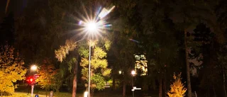 Tonåring rånades i park