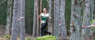 Kanonstart av Vångell i Finland