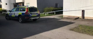 Två misstänks för vapenbrott efter insatsen
