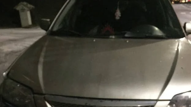En 28-årig man har dömts till fängelse i fem månader för grov vårdslöshet i trafik.