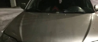 Får fängelse efter vansinnesfärden