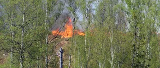 Kraftansamling fick stopp på skogsbranden