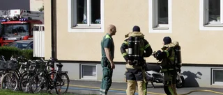 Hund räddad ur rökig bostad