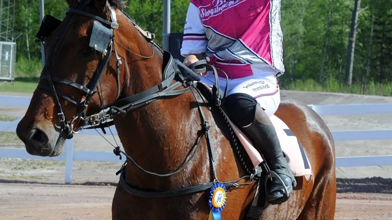Åsa Svensson i vinnarzonen i Mantorp igår efter segern med Loc Xavier som var hennes nummer 200 i monté i karriären. Foto: Magnus Strömsten