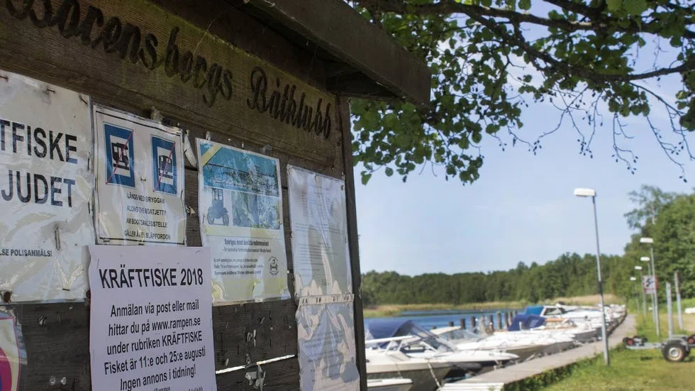 Borensbergs båtklubbs idéer måste först lyftas upp på kommunledningsnivå om de ska kunna realiseras.