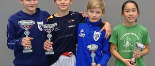 Motalabrottare bra i Finspång