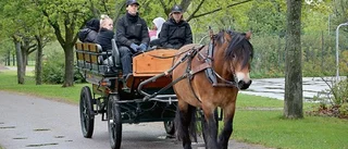 Skäggetorpsdagen i snålblåst och regn