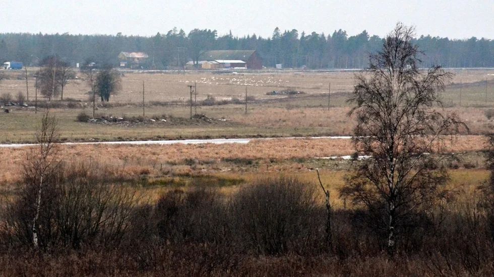 Kommunen kommer inte att köpa delar av marken på Källsåker, men man gör upp med markägaren om att ha kvar vattenspegeln och Bronsåldersleden. Foto: Anders Sjögren