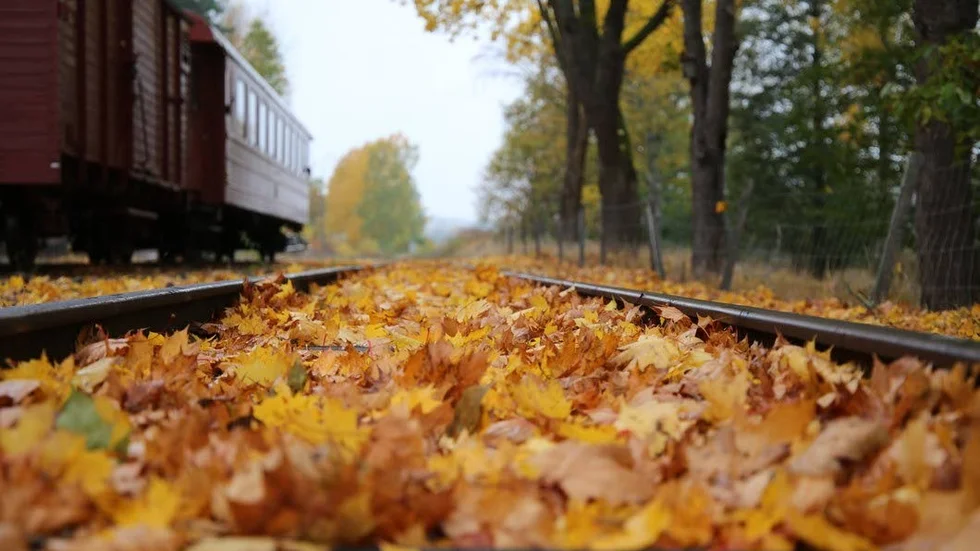 Vinnare av Månadens bild oktober 2016. "Höst vid Verkebäcks järnvägsstation."