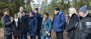 Västervik rackare på märklig fågel