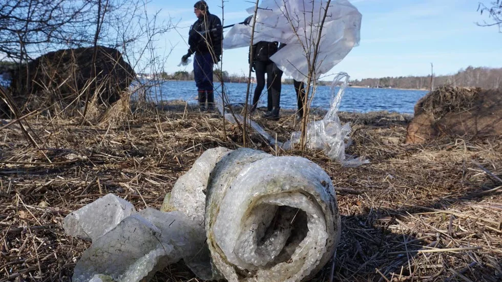 Plast. Det var inga problem för eleverna att hitta skräp på Ekholmen.