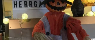 Skrik, skratt och gråt på herrgården