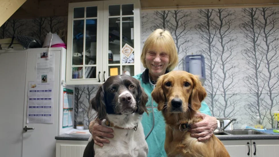 Veterinär Tina Borgström Wennersten, här med hundarna Tuva och Sally, ger råd om våra husdjur inför julen.