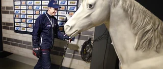 Vad gör den vita hästen i Saab arena?
