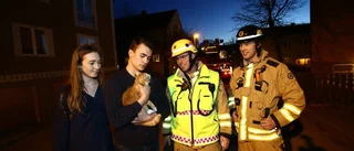 Räddningstjänsen fick rädda katt – och ung kille
