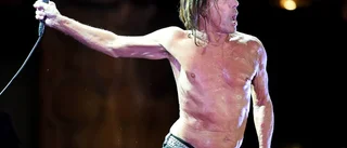 Bästa på länge från Iggy Pop