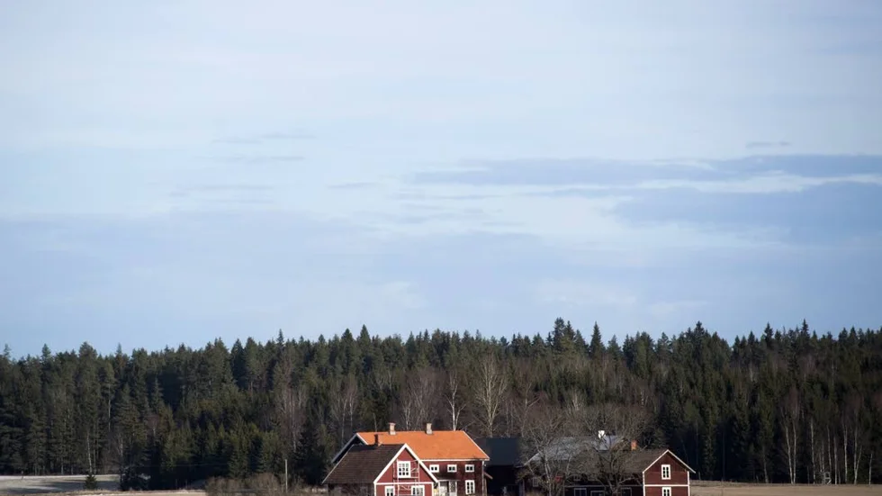 Vem är smartast? Kanske den som väljer att flytta tillbaka till landsbygdens lugn och ro.