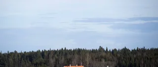 Ännu smartare blir lantisar