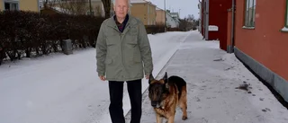 Bert kan fira dubbla jubileer