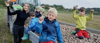 Matilda hittar julkänslan i potatisåkern