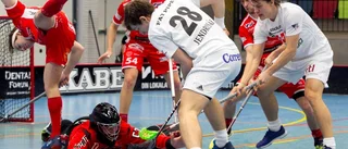 Usel mellanperiod sänkte Libk