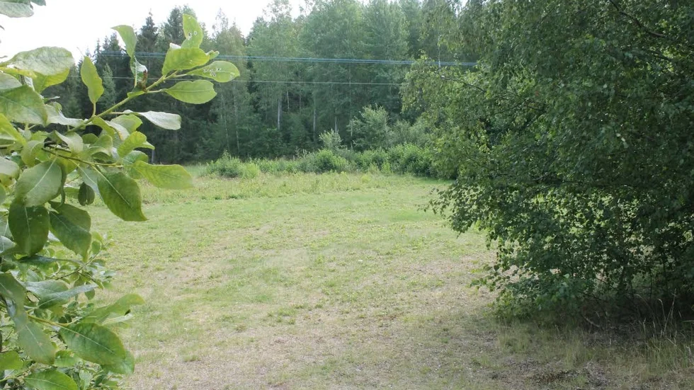 Snart ska det röjas sly på gamla fotbollsplanen. Här kommer det bli nya ställplatser för husvagnar och husbilar.