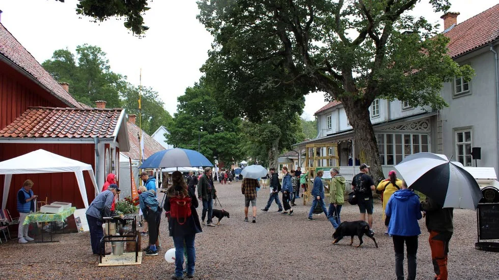 Medevimässan arrangerades för fjärde gången och kunde bland annat erbjuda olika aktiviteter, föredrag och tävlingar.