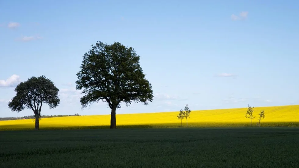 Det finns all anledning att upptäcka det östgötska landskapet.