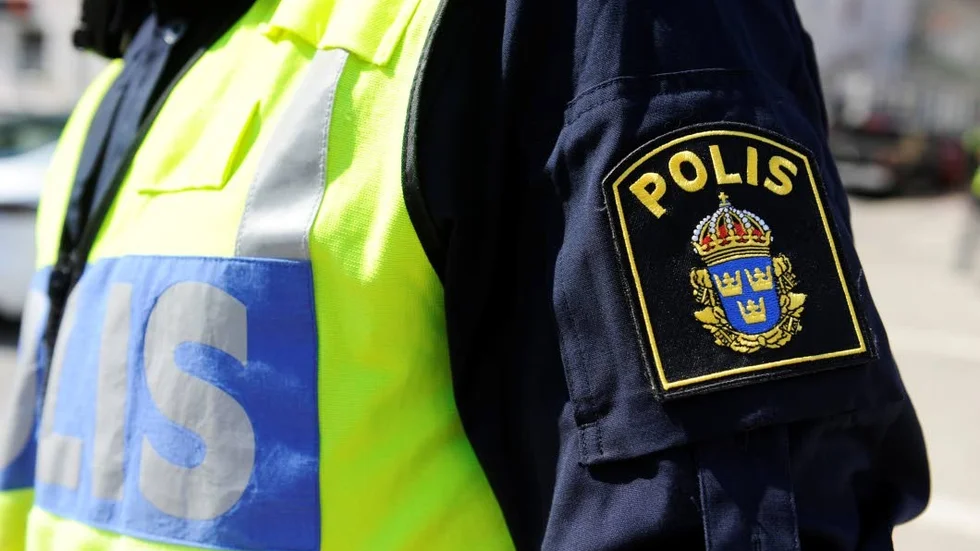 En kvinna är misstänkt för grov stöld och stöld efter att ha försökt stjäla en väska och stulit vin från systembolaget