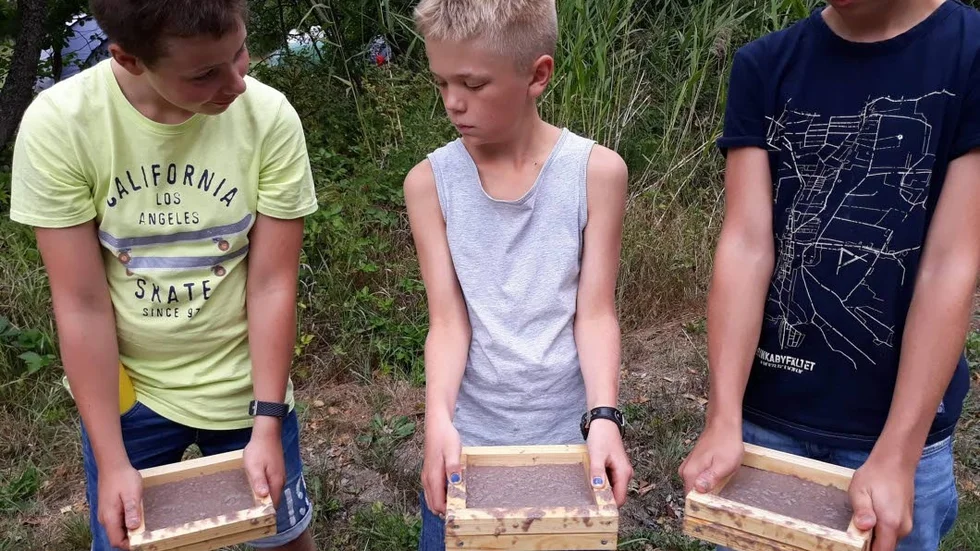 Vid sommarlägret i Västervik fick scouterna utforska djurlivet och naturen längs Östersjön.
