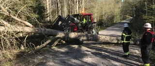 Träd blockerade vägen