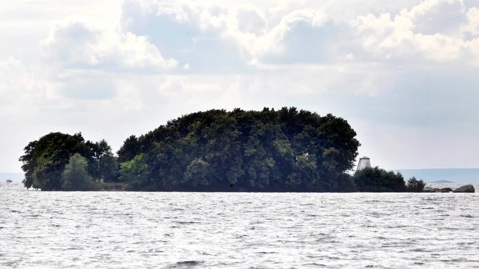 Yttrande. Naturvårdsverket har fått lämna in ett yttrande inför domstolens avgörande.