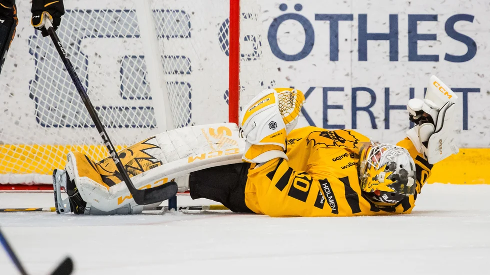 Skellefteå AIK föll borta mot Leksand.