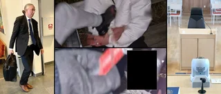 Misshandlad, förnedrad, filmad, hotad inför rättegång: Nya svaren