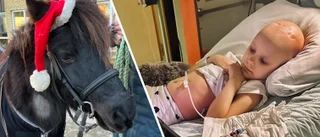 Cancersjuka Emilia, 7, fick sjukhusbesök – av en häst