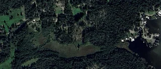 Mark i Östhammars kommun går i arv till ny ägare