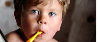 Kan Västerviks förskolor införa tandborstning efter frukosten?