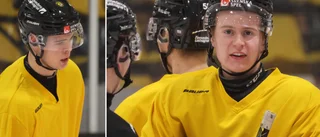 TV: Här är spelarna som förstärker Vimmerby Hockey