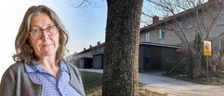 ”Det är för jävigt att politiker fattar beslut om sig själva”