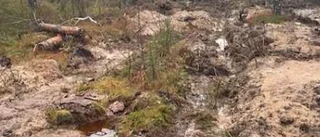 Företagare grävde dike i skyddat område – misstänkt miljöbrott