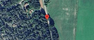 Varnar för älgar på vägen på väg 213