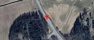 Häst på vägen kan skapa fara på väg 272