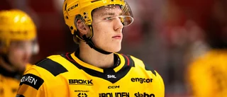 Brandsegg-Nygård: ”Var inte tillräckligt bra”