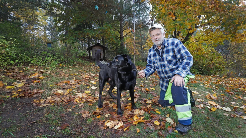 Kenth Lang, 70 och fyraåriga jaktlabradoren Hebbe.