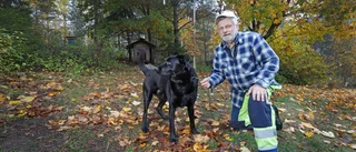 Kenth, 70, förlorade tolv djur – i rävattack