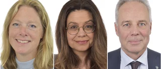 Regeringens superdokument är en besvikelse