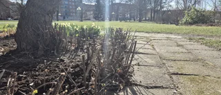 Sluta slakta naturen, Eskilstuna kommun!