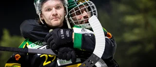 Sirius värvar – konkurrentens stjärna klar