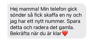 Polisen varnar för bedragare som utger sig för att vara barn